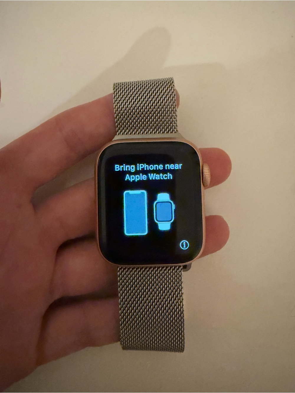Apple Watch Series 5 with Stainless Steel Apple Band